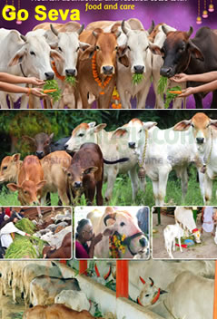 Shani Trayodashi Special Shani Abhishekam and Rudhrabhishekam and Dhanam To Resolve Shani Dosha